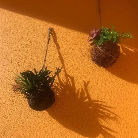 Cabanas Apartment
