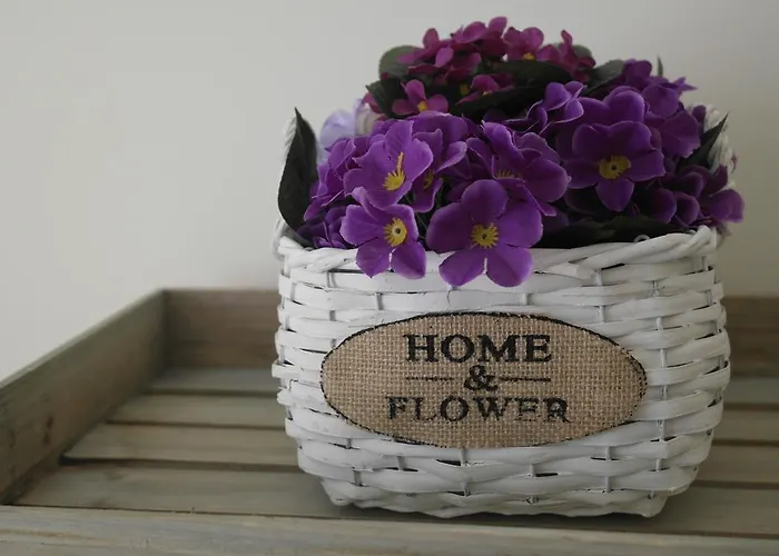 Cabanas Apartment Apartmán *