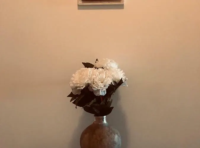 Apartmán Cabanas Apartment *