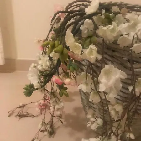 Cabanas Apartment * タヴィラ