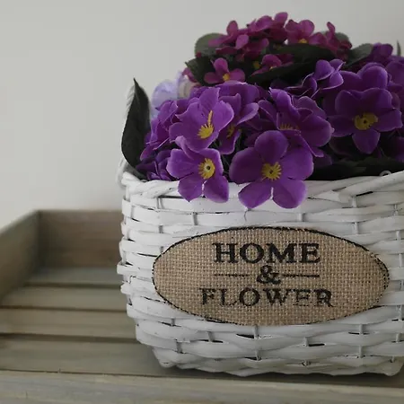 Cabanas Apartment Apartamento *