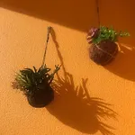 Cabanas Apartment