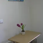 アパート Cabanas Apartment
